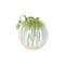 10.5" White Ceramic Vase with Green & Blue Drip Design & Handles